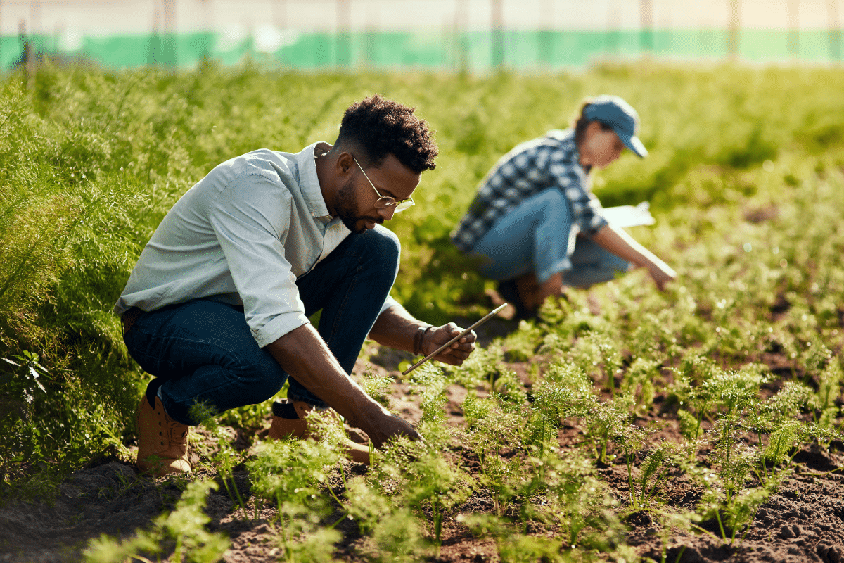 Farmers working in a field, implementing sustainable agricultural practices.