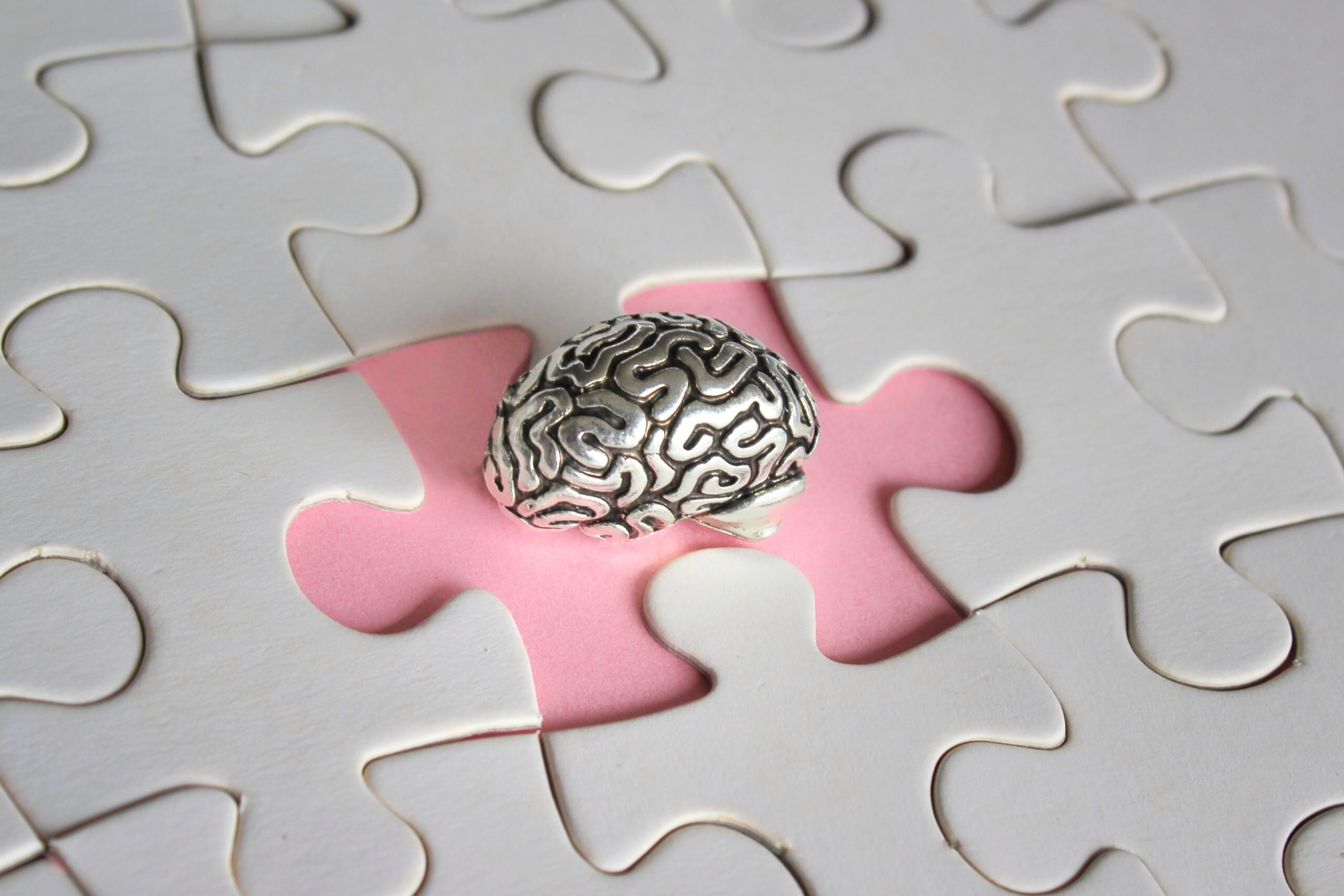 Brain model and missing puzzle pieces.